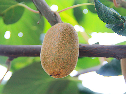 九游娱乐官方网站基地展示二