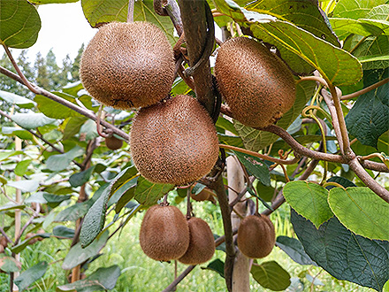 九游娱乐官方网站基地展示六