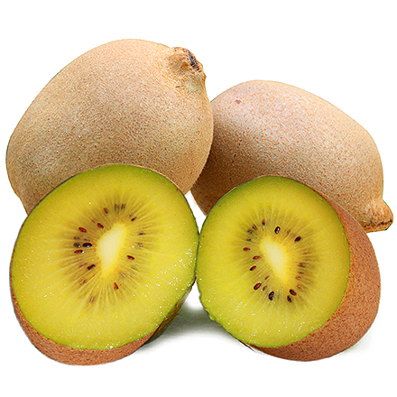 九游娱乐官方网站产品中心四